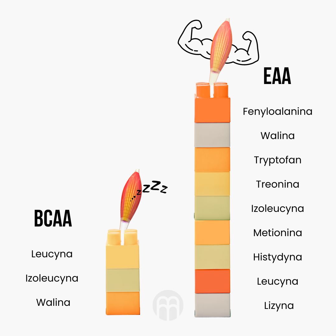 (Polština) BCAA vs EAA